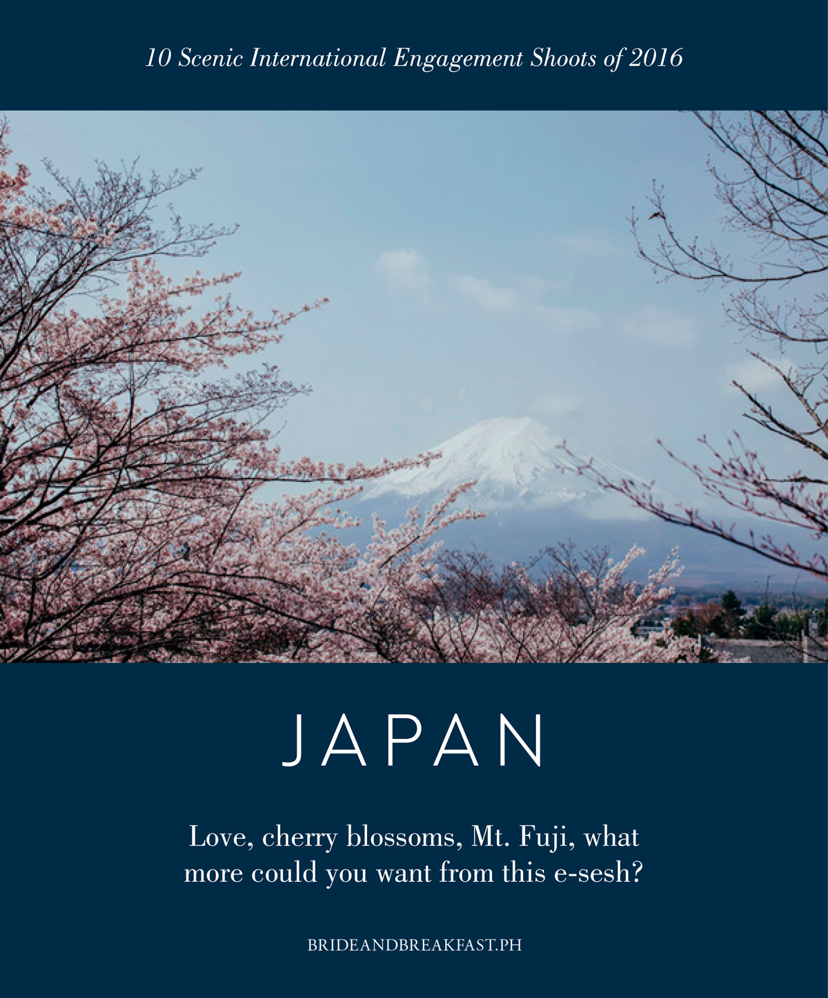 2. Japan Love, cherry blossoms, Mt. Fuji, what more could you want from this e-sesh?