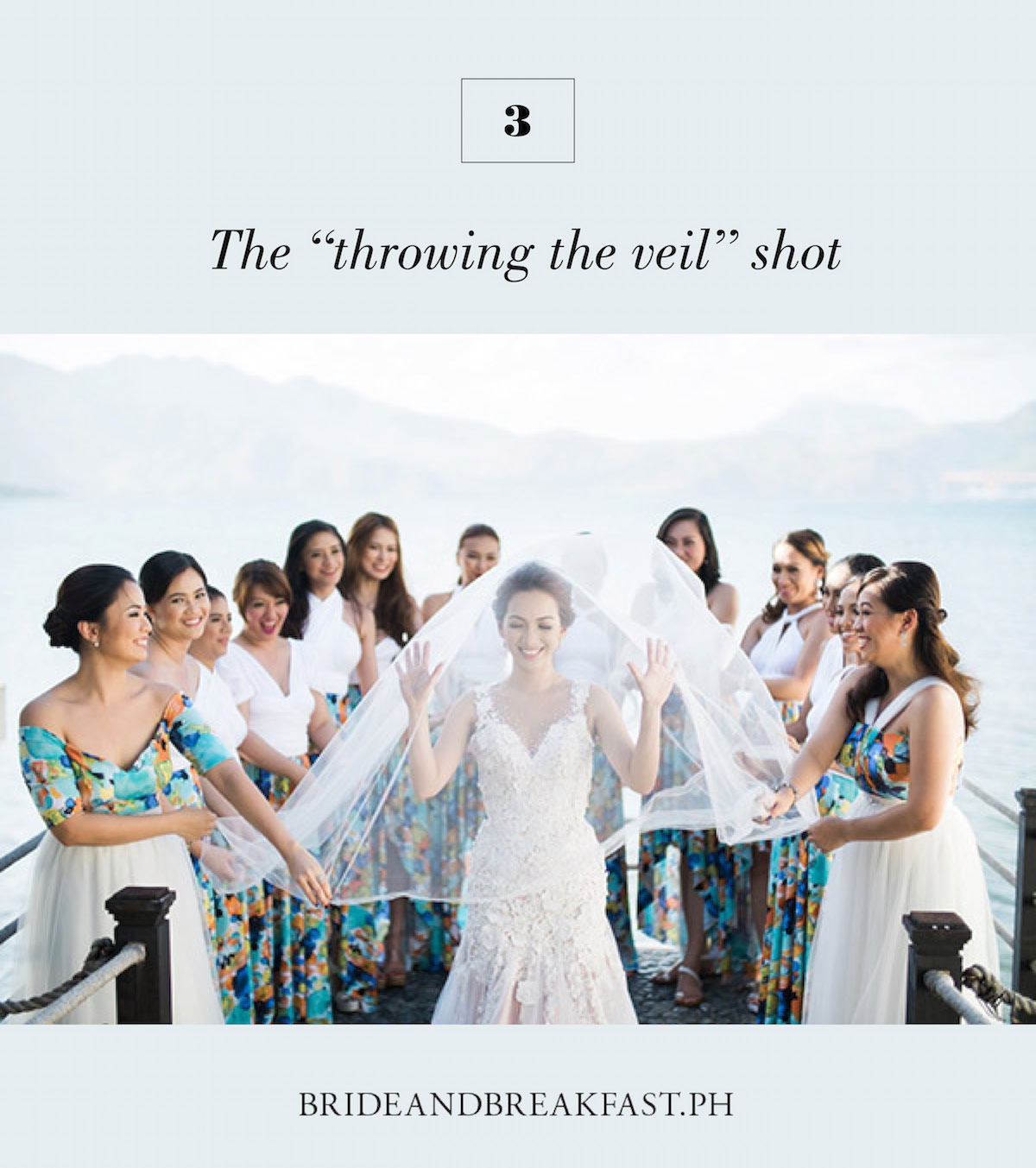 3. The "throwing the veil" shot