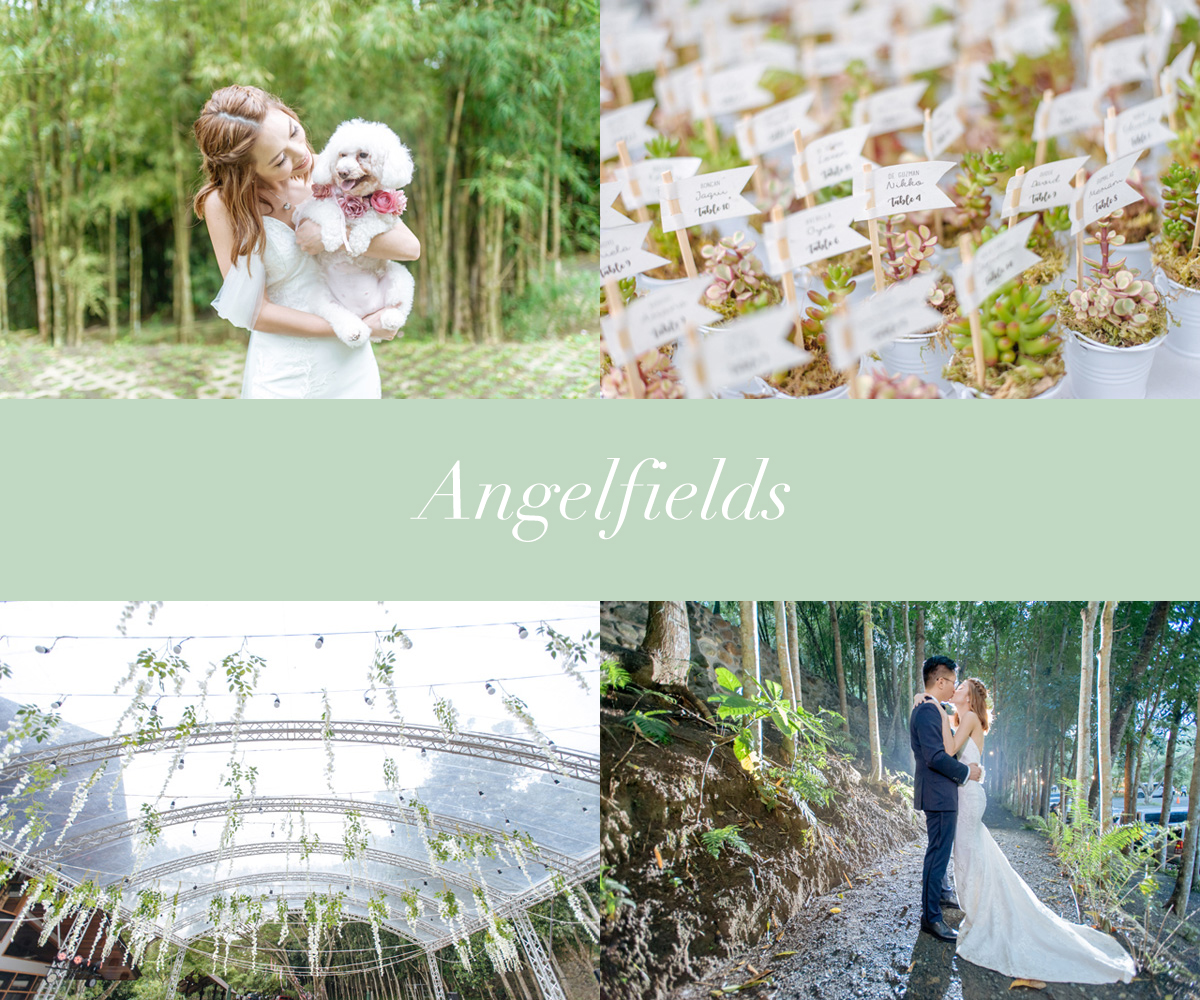 Angelfields