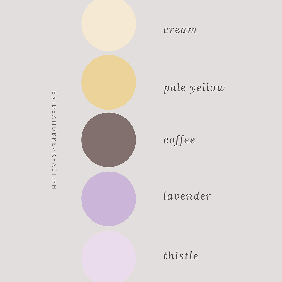 Cream, pale yellow, coffee, lavender, thistle