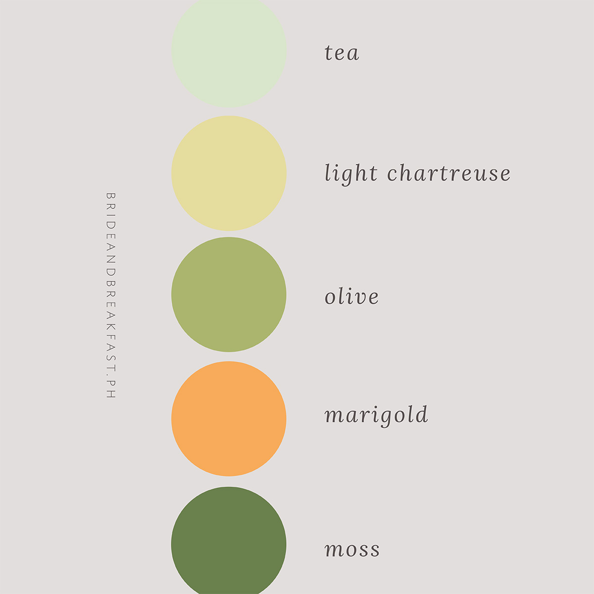 Tea, light chartreuse, olive, moss, marigold