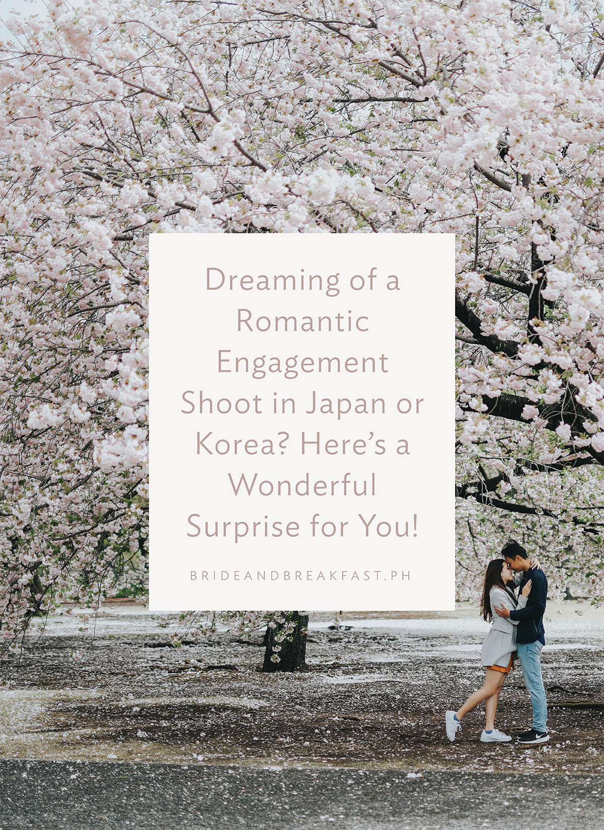 Dreaming of A Romantic Engagement Shoot in Japan or Korea? Here’s a Wonderful Surprise For You!
