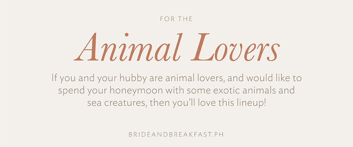 For the Animal Lovers If you and your hubby are animal lovers, and would like to spend your honeymoon with some exotic animals and sea creatures, then you’ll love this lineup!