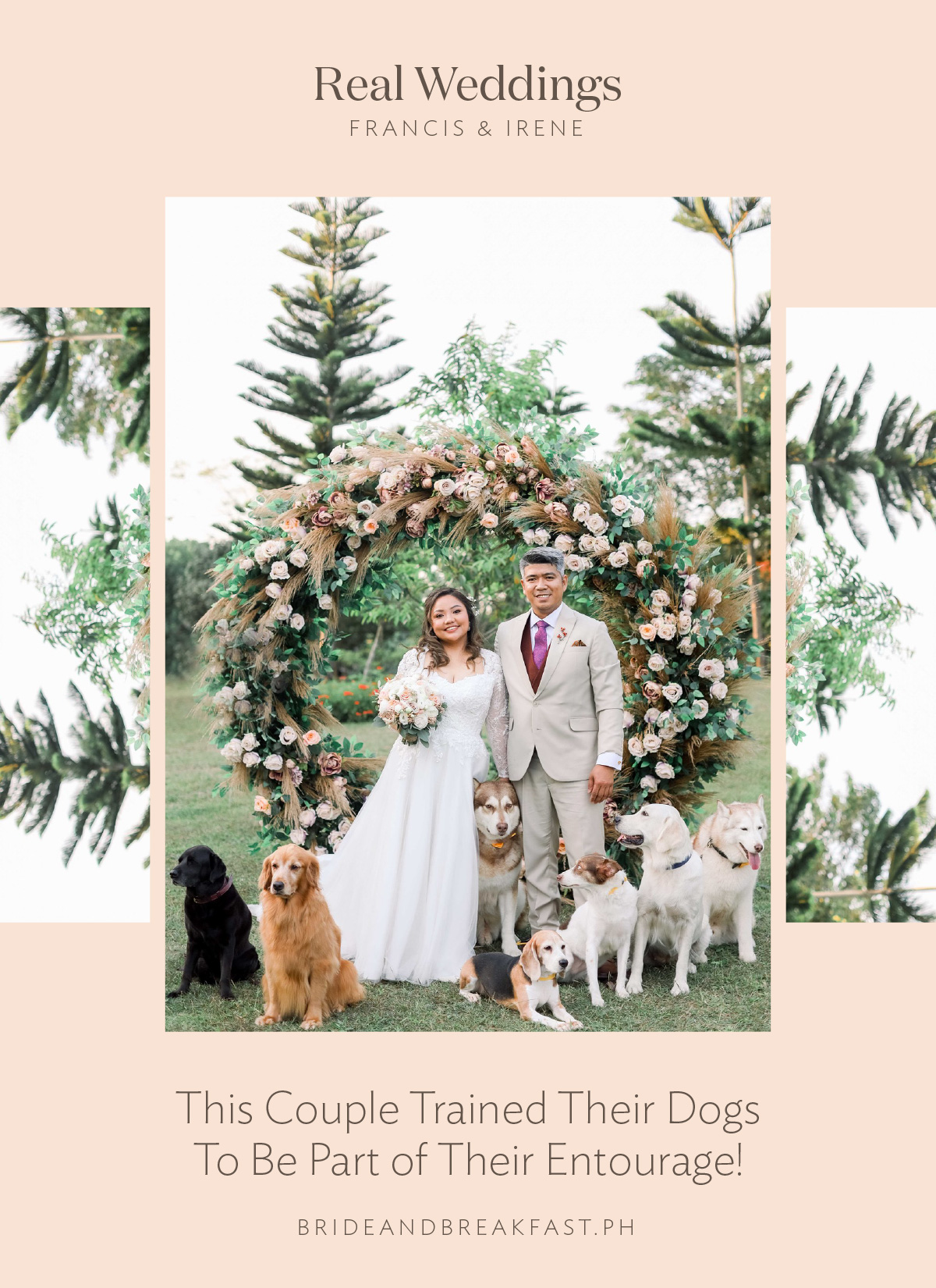 This Couple Trained Their Dogs To Be Part of Their Entourage!