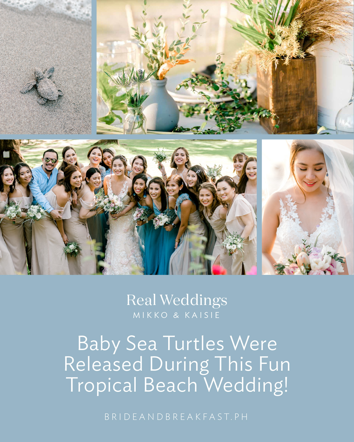 Baby Sea Turtles Were Released During This Fun Tropical Beach Wedding!