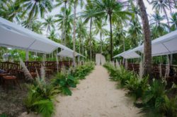 Sandy aisles, coconut trees, and lots of foliage and love all around
