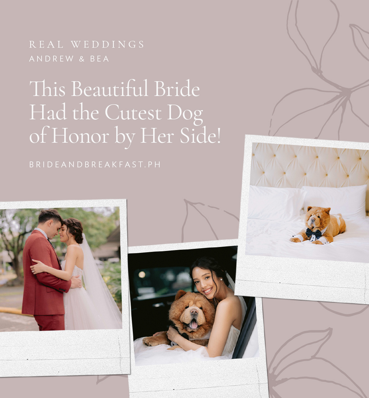 This Beautiful Bride Had the Cutest Dog of Honor by Her Side!