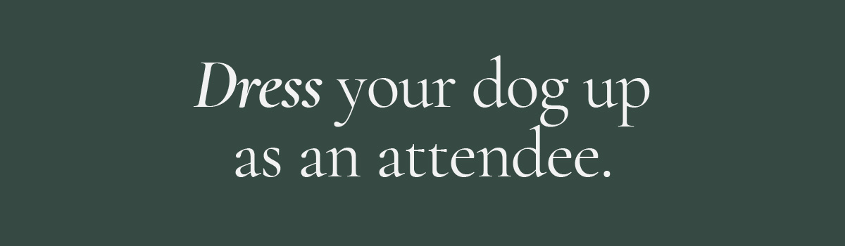 Dress your dog up as an attendee.