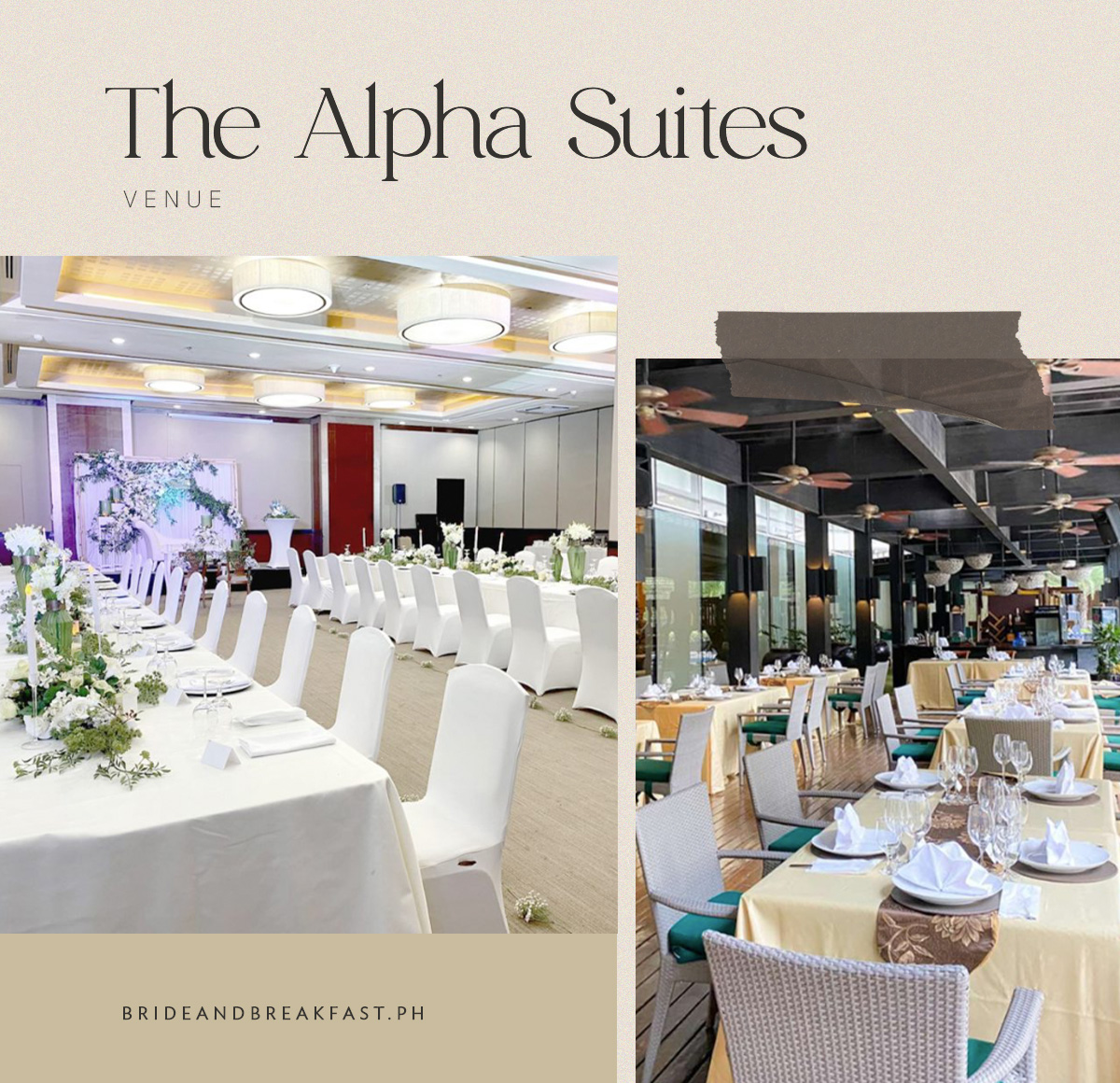 The Alpha Suites