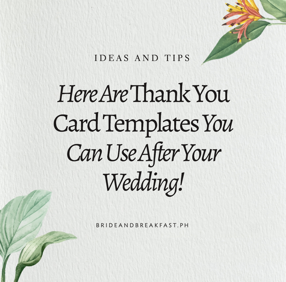 Here Are Thank You Card Templates You Can Use After Your Wedding!