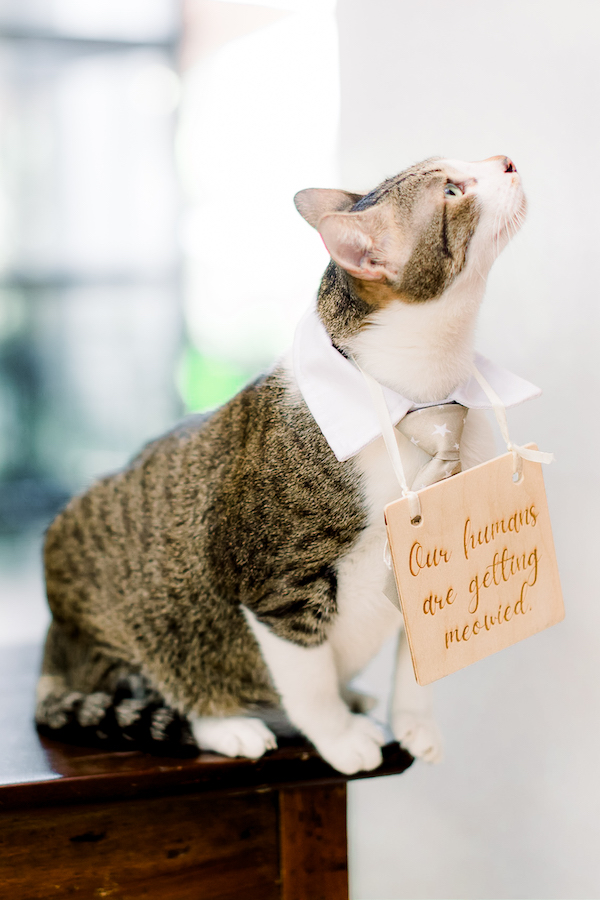 Cat Bridesmaid Dresses