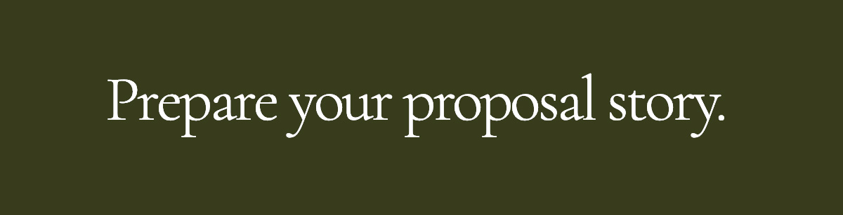 Prepare your proposal story. 
