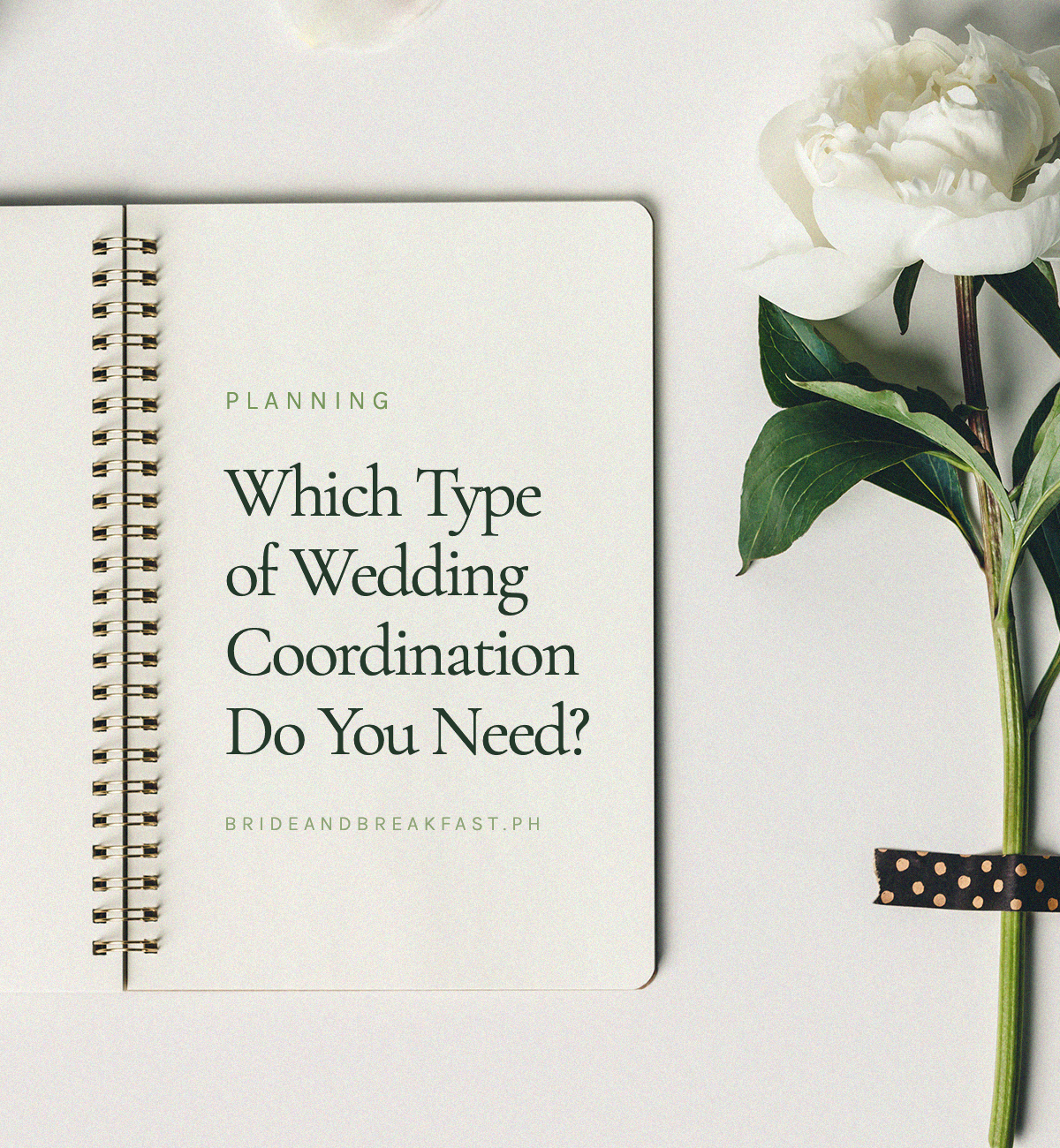 Which Type of Wedding Coordination Do You Need?