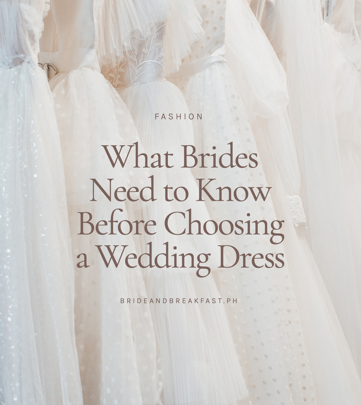 What Brides Need to Know Before Choosing a Wedding Dress