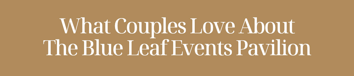 What Couples Love About The Blue Leaf Events Pavilion