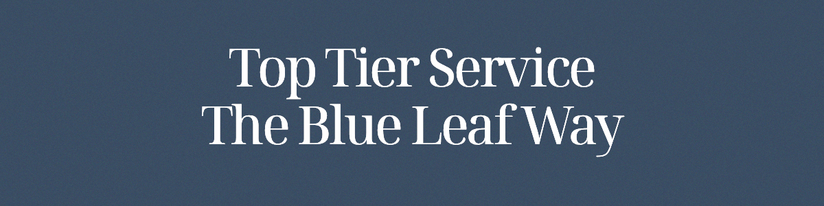 Top-Tier Service The Blue Leaf Way