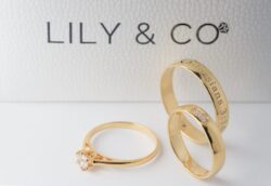 Lily & Co.