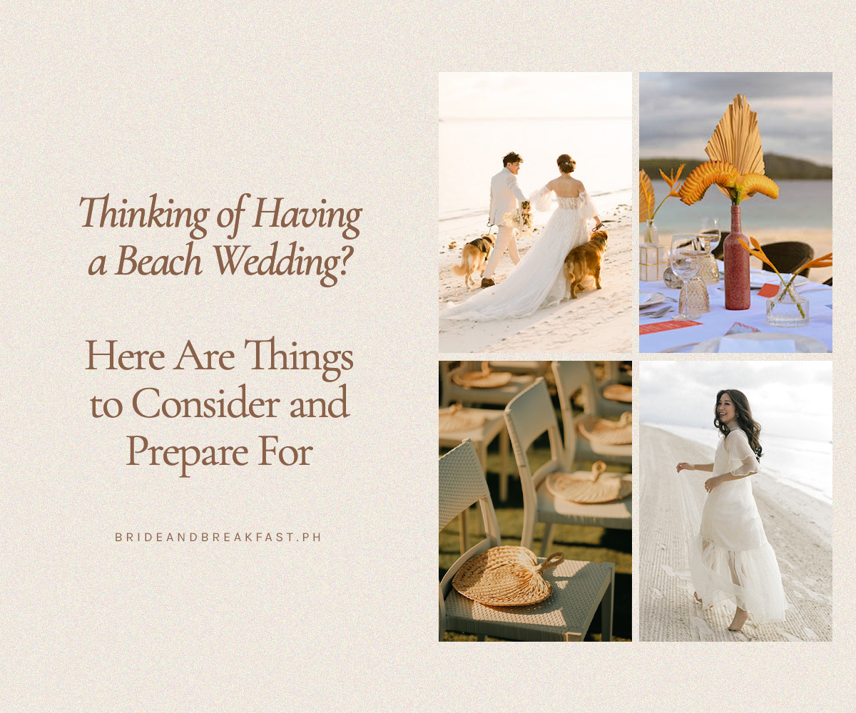 Thinking of Having a Beach Wedding? Here Are Things to Consider and Prepare For