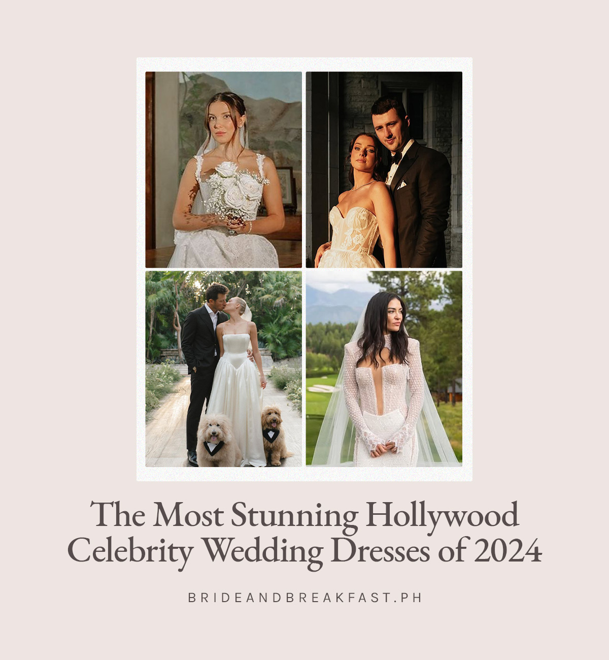 2024 Hollywood Wedding Dresses 