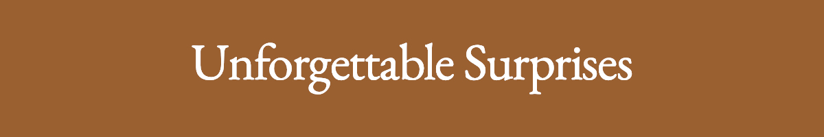 <strong>Unforgettable Surprises</strong>