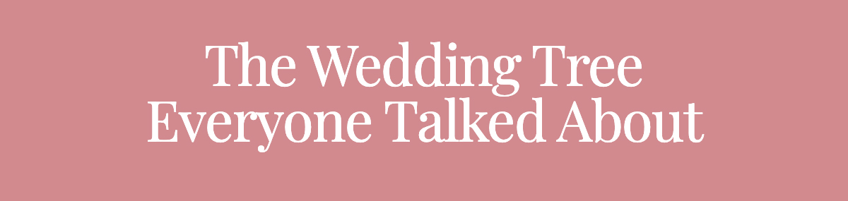 <strong>The Wedding Tree Everyone Talked About</strong>
