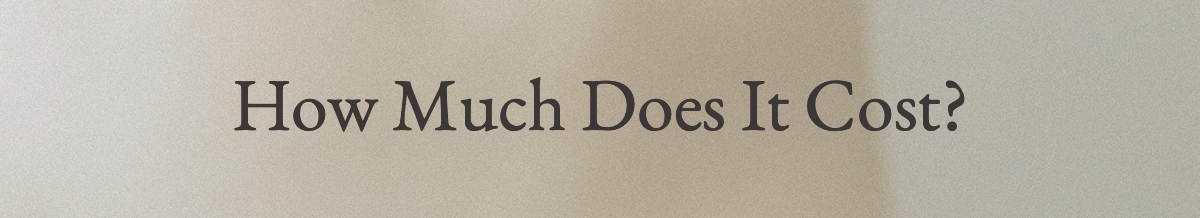 <strong>How Much Does It Cost?</strong>