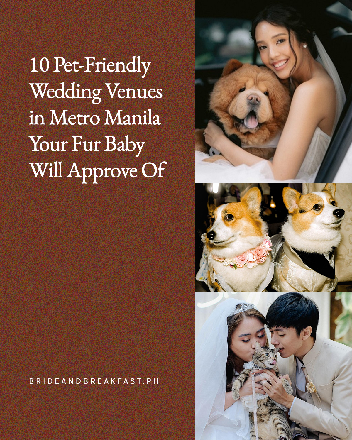 0 Pet-Friendly Wedding Venues in Metro Manila Your Fur Baby Will Approve Of